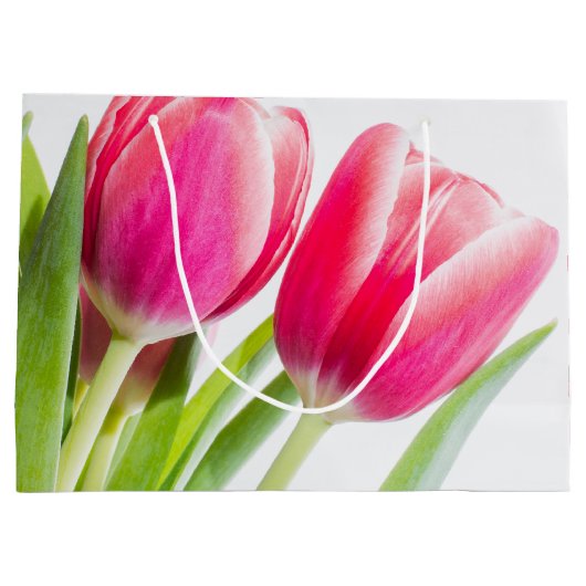 Roze tulpen met groene bladeren Foto Groot Cadeauzakje (Achterkant)