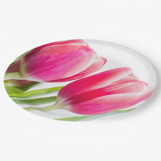Roze tulpen met groene bladeren Foto Papieren Bordje (Gekanteld)