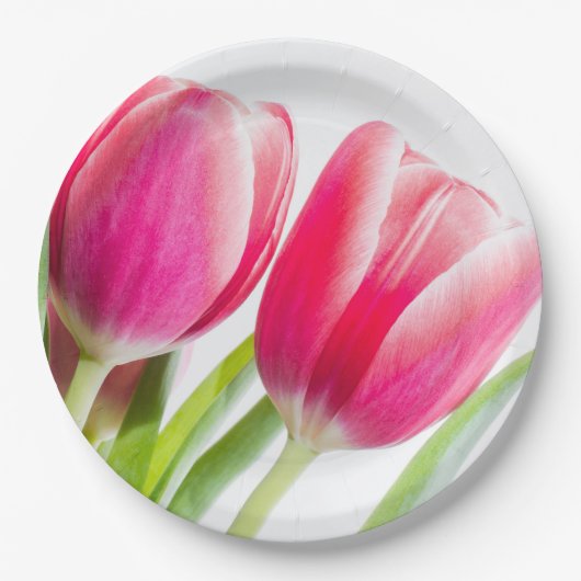 Roze tulpen met groene bladeren Foto Papieren Bordje (Voorkant)