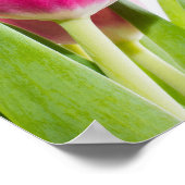Roze tulpen met groene bladeren Foto Poster (Hoek)