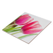 Roze tulpen met groene bladeren Foto Tegeltje (Zijkant)