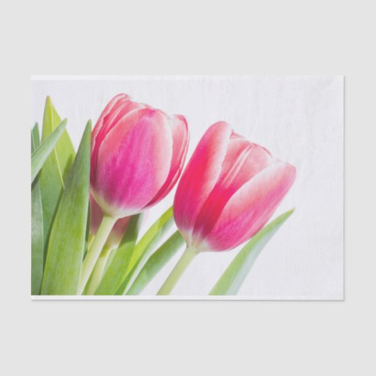 Roze tulpen met groene bladeren Foto Tissuepapier (Voorkant)