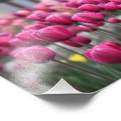Roze tulpen - Montreal (afdrukken) Foto Afdruk (Hoek)