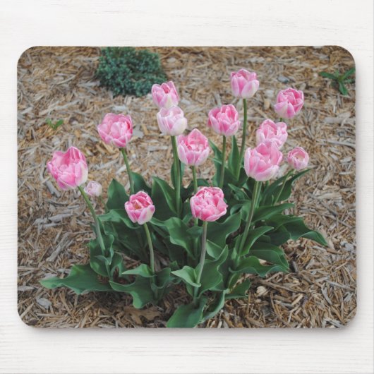 Roze Tulpen Muismat (Voorkant)