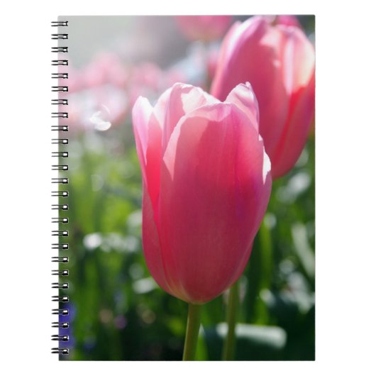 Roze tulpen notitieboek (Voorkant)