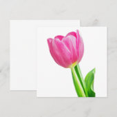 Roze tulpen op wit (Voorkant / Achterkant)