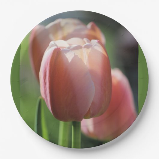 Roze tulpen papieren bordje (Voorkant)