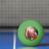 Roze tulpen pingpongbal (Net)
