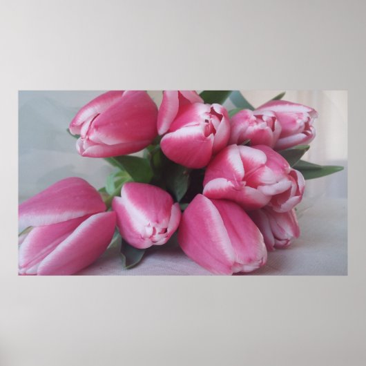 Roze tulpen, Poster (Voorkant)