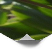  roze tulpen poster (Hoek)