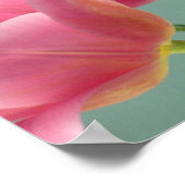 Roze tulpen poster (Hoek)