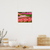 Roze tulpen poster (Keuken)
