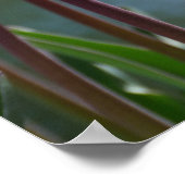 Roze tulpen poster (Hoek)