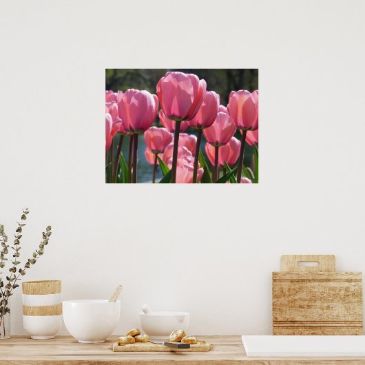 Roze tulpen poster (Keuken)