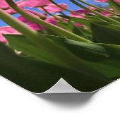 Roze tulpen poster (Hoek)