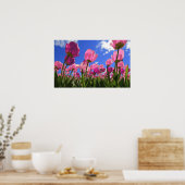Roze tulpen poster (Keuken)