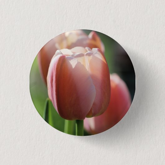 Roze tulpen ronde button 3,2 cm (Voorkant)