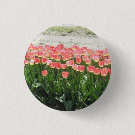 Roze tulpen ronde button 3,2 cm (Voorkant)