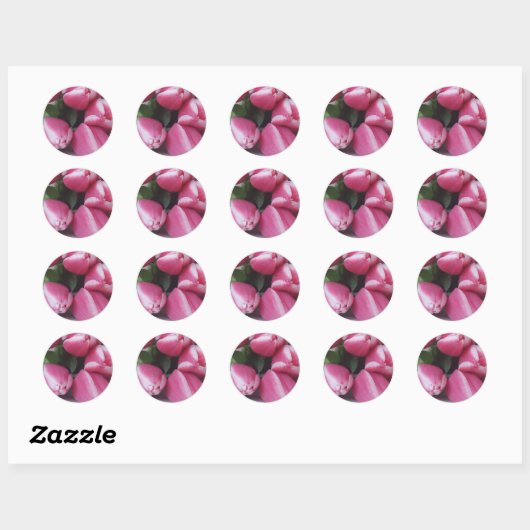 Roze tulpen ronde sticker (Vel)