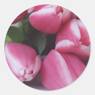 Roze tulpen ronde sticker