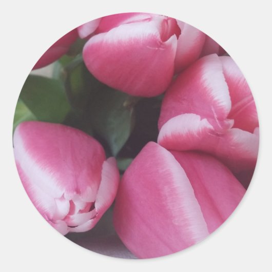 Roze tulpen ronde sticker (Voorkant)