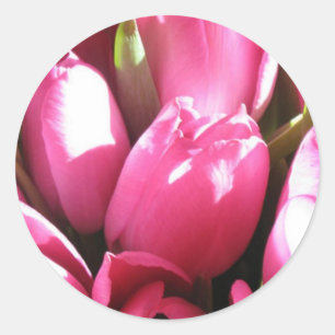 Roze tulpen ronde sticker