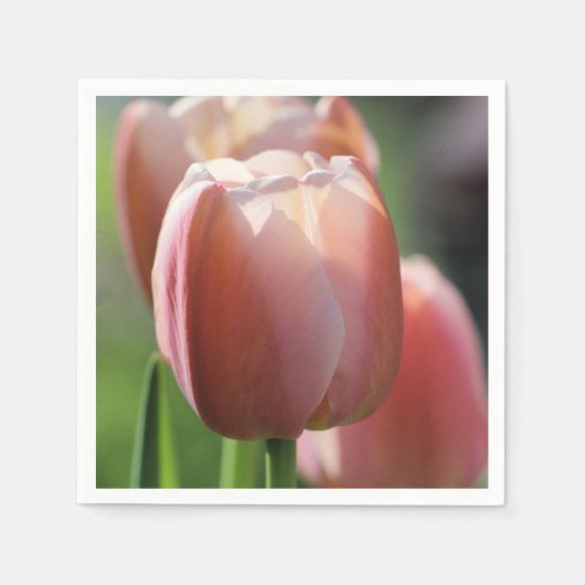 Roze tulpen servet (Voorkant)
