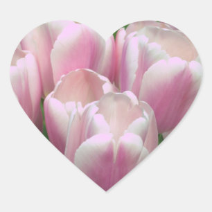 Roze Tulpen Sticker