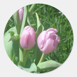 Roze Tulpen Stickers