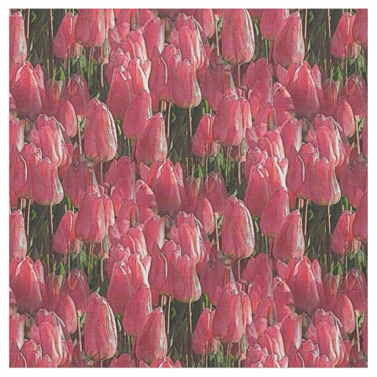  roze tulpen stof (Close Up)