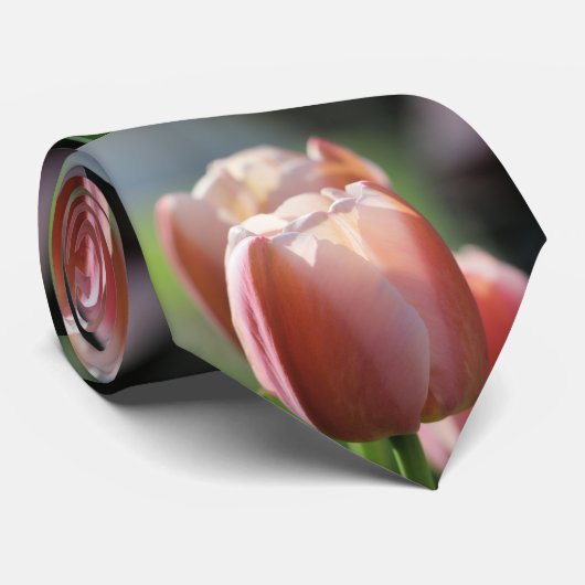 Roze tulpen stropdas (Opgerold)