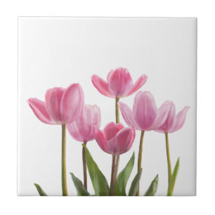 Roze tulpen tegeltje