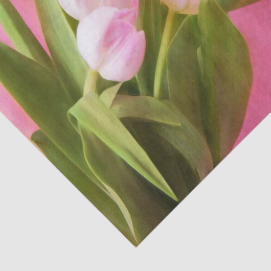 roze tulpen tissuepapier (Detail)