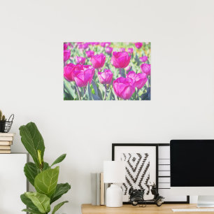  roze Tulpen Tuin Art Poster