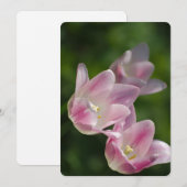 Roze tulpen uitnodiging (Voorkant / Achterkant)