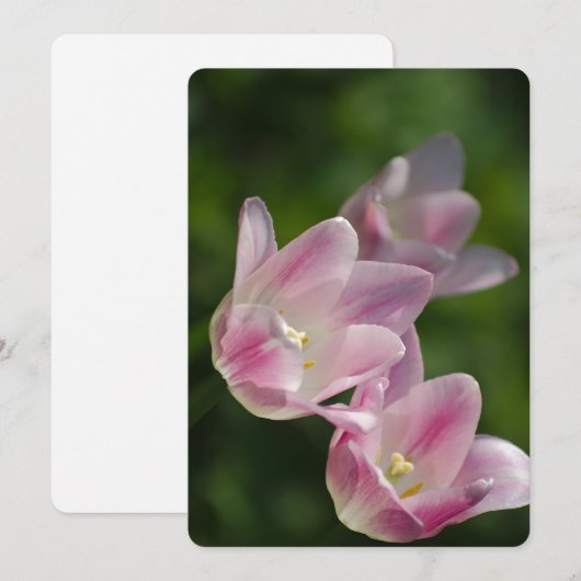 Roze tulpen uitnodiging (Voorkant / Achterkant)