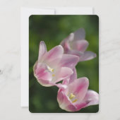 Roze tulpen uitnodiging (Voorkant)