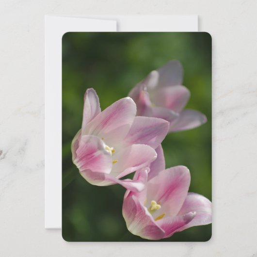 Roze tulpen uitnodiging (Voorkant)