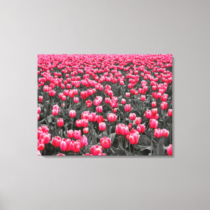 Roze Tulpen Veld Canvas Afdruk