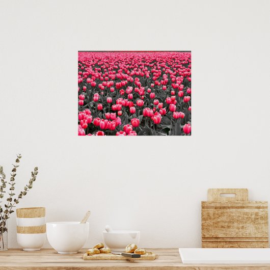 Roze Tulpen Veld Poster (Keuken)