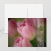 Roze Tulpen Verjaardag Briefkaart (Voorkant / Achterkant)