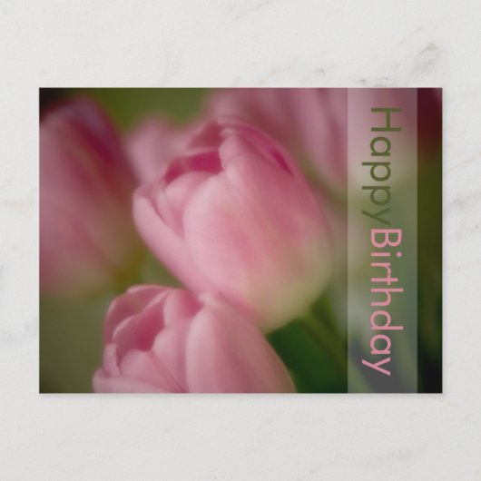 Roze Tulpen Verjaardag Briefkaart (Voorkant)