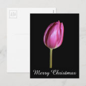 Roze Tulpen Vrolijk Kerstfeest Bloemen Foto's Feestdagenkaart (Voorkant / Achterkant)