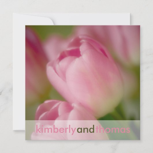 Roze tulpen ・ Weddenschap Kaart (Voorkant)