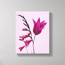  roze tulpenbloem Eenvoudige moderne bloemkunst