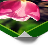 Roze Tulpenbloem in Sunlight Mirror Abstract Poster (Hoek)