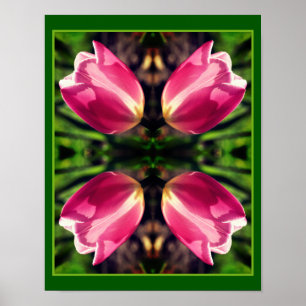 Roze Tulpenbloem in Sunlight Mirror Abstract Poster