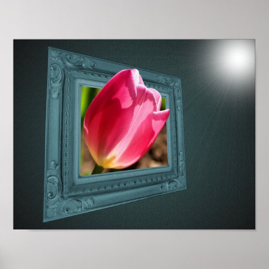 Roze tulpenbloem uit Lijst Poster (Voorkant)
