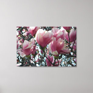 Roze "Tulpenboom" Bloesems Verpakt Canvas Print