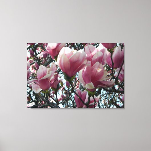 Roze "Tulpenboom" Bloesems Verpakt Canvas Print (Voorkant)